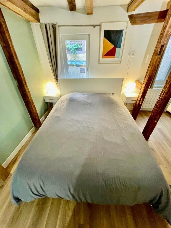 Strasbourg Magnifique Appartement Centre Ville Petite France Luaran gambar