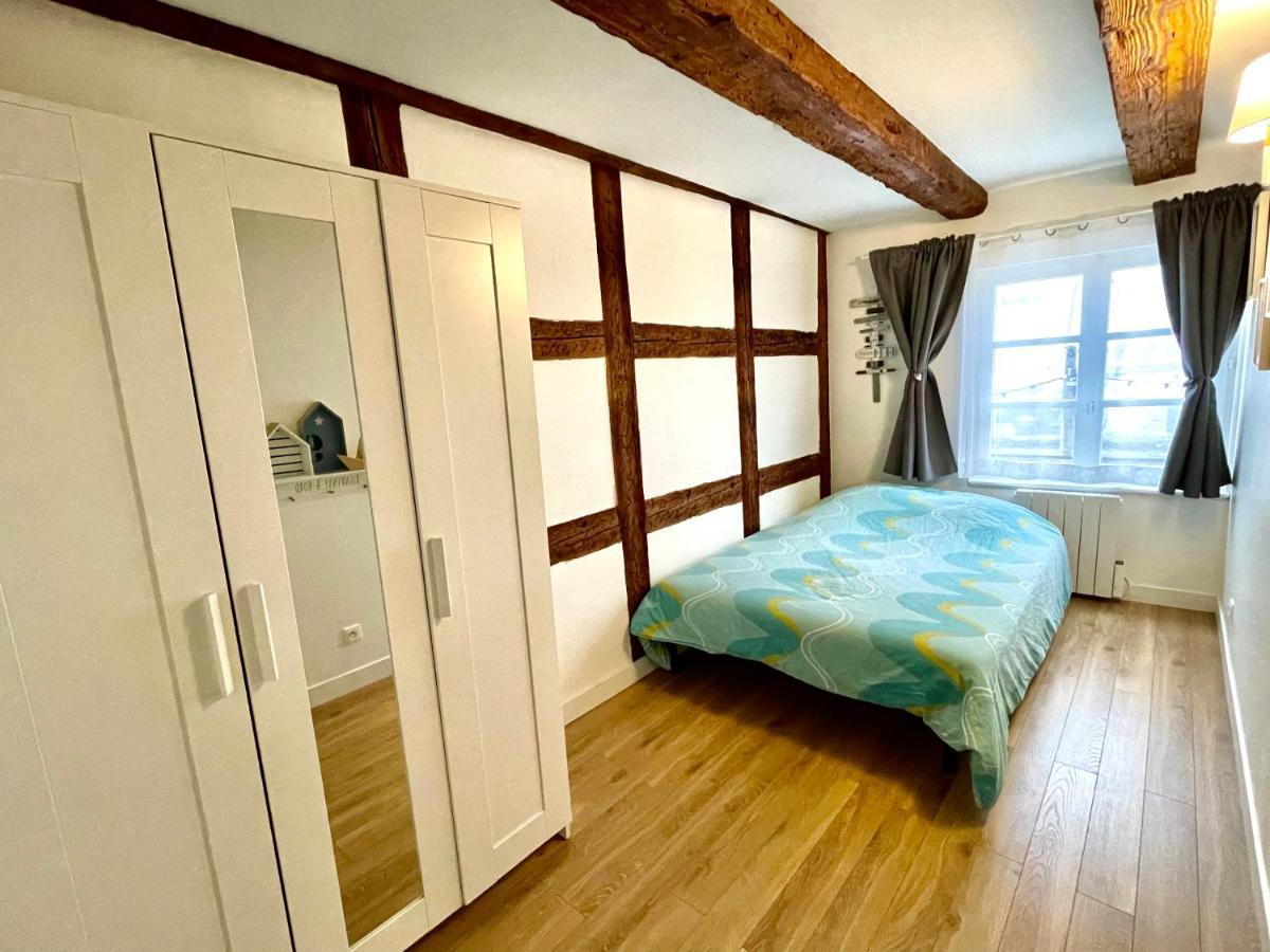Strasbourg Magnifique Appartement Centre Ville Petite France Luaran gambar