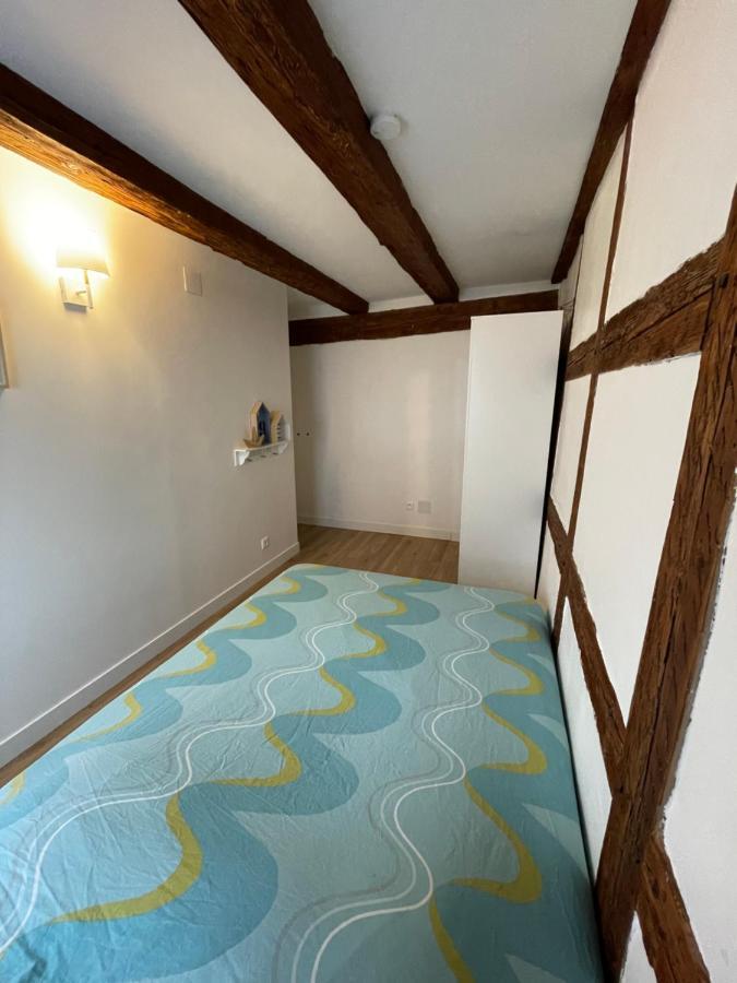 Strasbourg Magnifique Appartement Centre Ville Petite France Luaran gambar