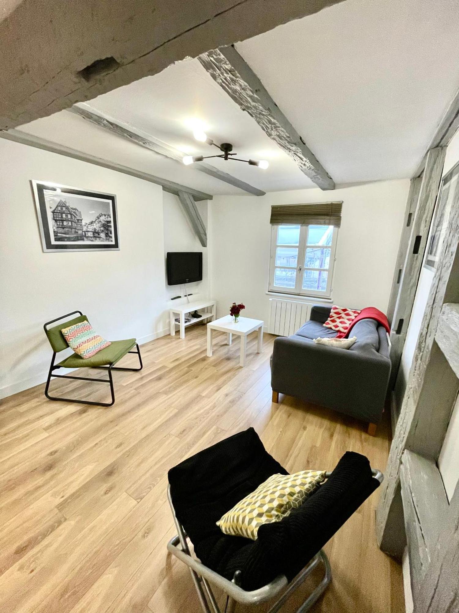 Strasbourg Magnifique Appartement Centre Ville Petite France Luaran gambar